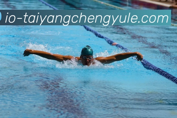 多媒体互动体验